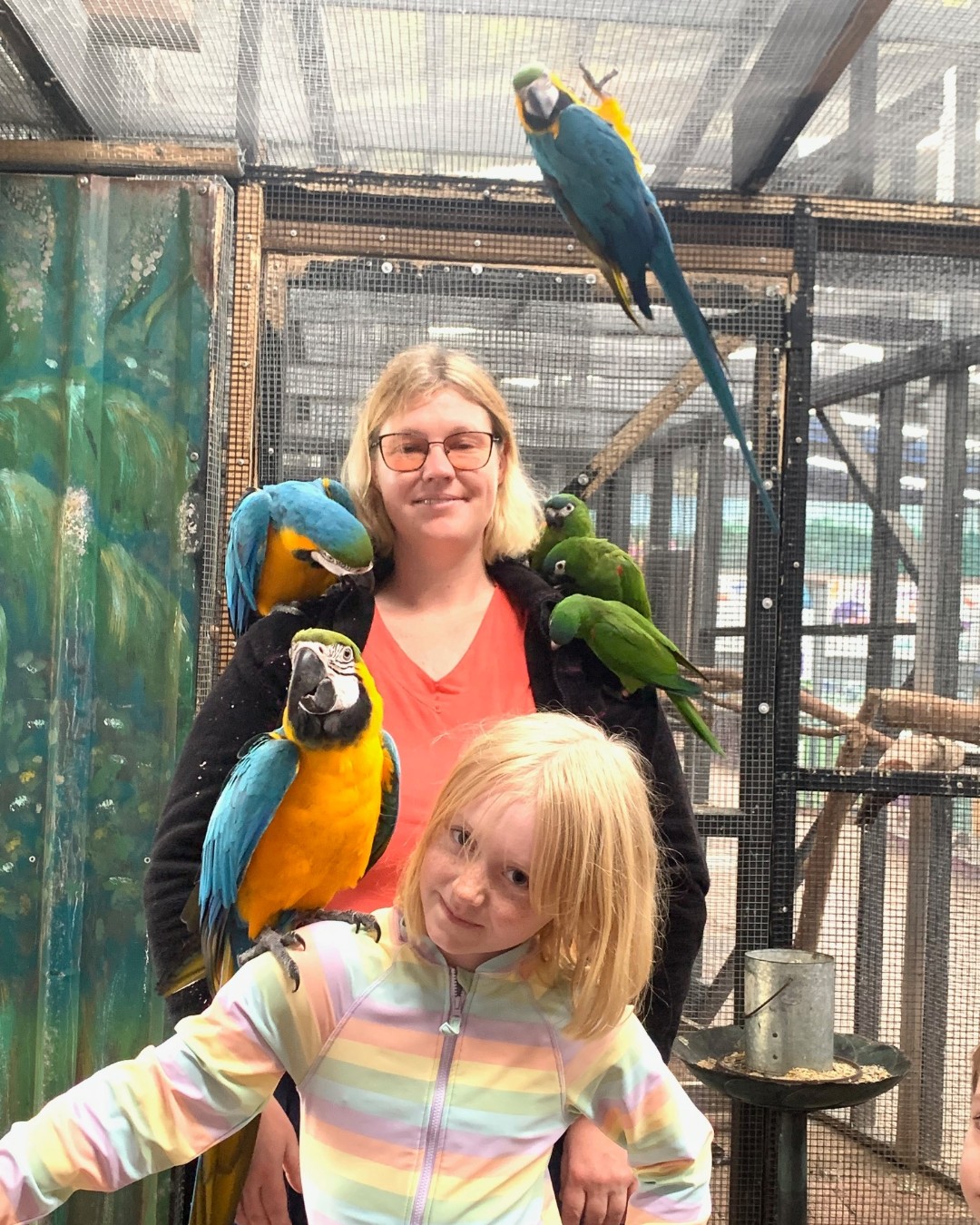 Visitors meeting macaws in the bird aviary